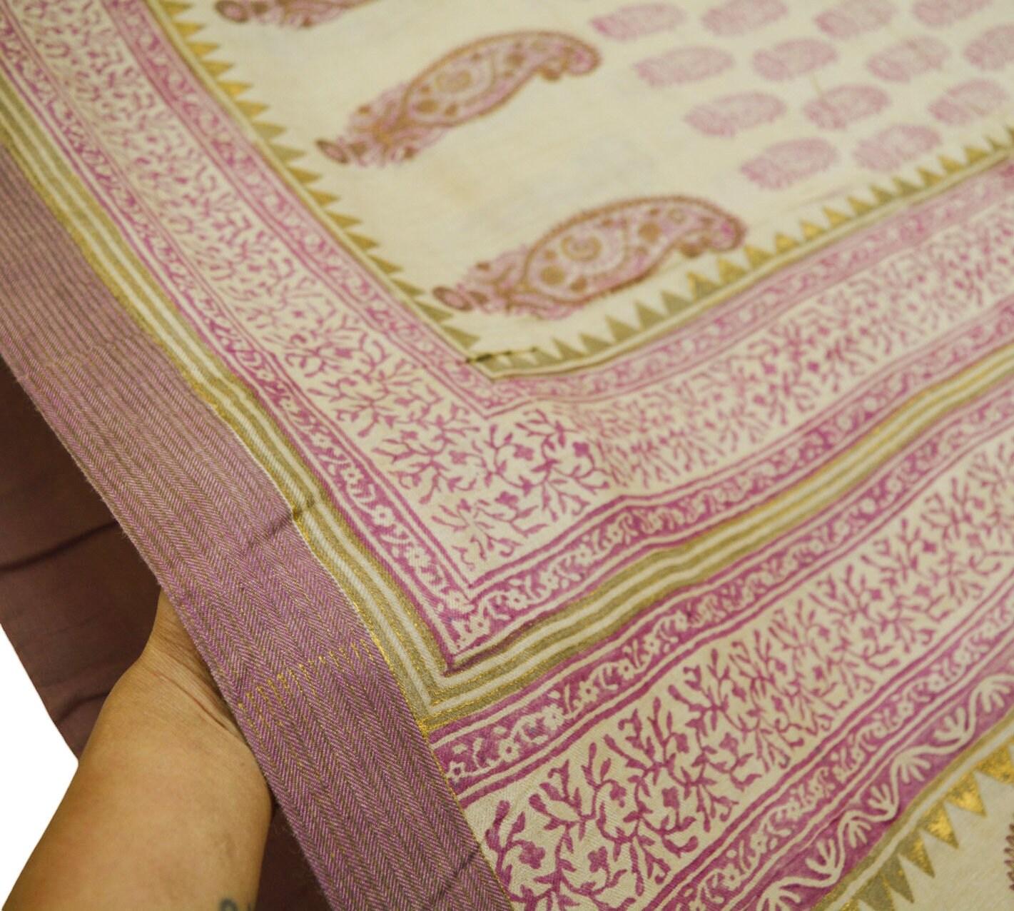 Vintage Ivory Heavy Saree Pure Woolen Woven Painted/Printed Indian Sari Soft Warm Fabric 5Yard Zigzag Woven Border Fringes