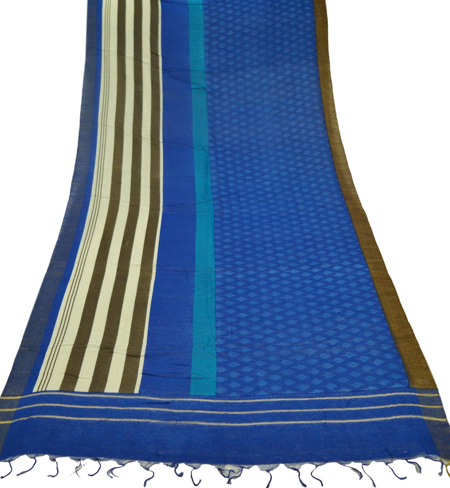 Indian Blue Vintage Dupatta Long Stole Printed Woven Pure Chanderi Silk Indian Scarves Veil Golden Zari Soft Fringes