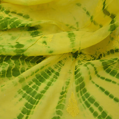 Indian Vintage Yellow & Green Dupatta Long Stole Pure Chanderi silk Handmade Chikankari Scarves Veil Scarf Wrap Zari Paisley Design