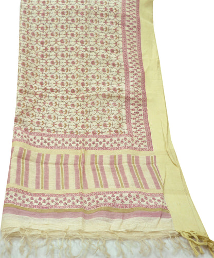 Indian Vintage Dupatta Ivory Long Stole Block Printed Woven Pure Silk Scarves Veil Soft Fringes