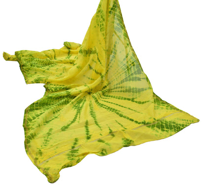 Indian Vintage Yellow & Green Dupatta Long Stole Pure Chanderi silk Handmade Chikankari Scarves Veil Scarf Wrap Zari Paisley Design