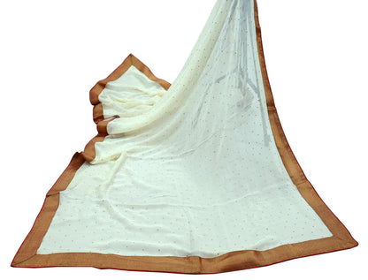 Indian Vintage Ivory Dupatta Pure Georgette silk Long Stole Hand Embroidered Scarves Stole Veil Wrap Sequins