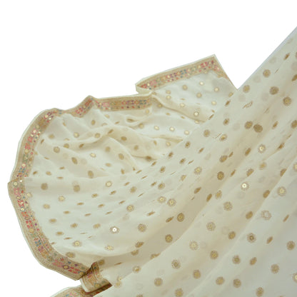 Indian Vintage Ivory Dupatta Pure Georgette silk Long Stole Hand Embroidered Scarves Stole Veil Wrap Sequins