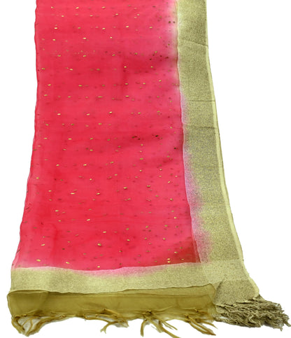 Indian Vintage Dupatta Red Long Stole Organza Woven Hand Painted Scarves Veil Zari Soft Floral Design