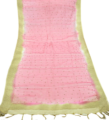Indian Vintage Dupatta Red Long Stole Organza Woven Hand Painted Scarves Veil Zari Soft Floral Design