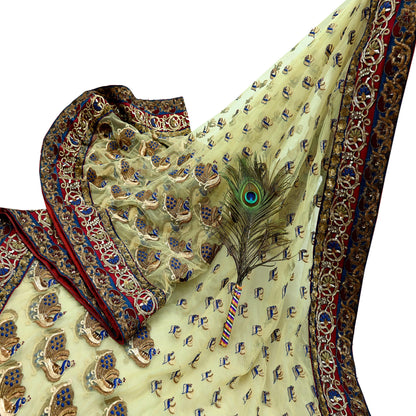 Indian Pre-owned Sari Ivory Net/Mesh Hand Embroidered Anamika Khanna Designer Sarees Ethnic 6Yd Sewing  Zardozi, Zari Wedding Sarees