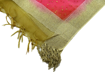 Indian Vintage Dupatta Red Long Stole Organza Woven Hand Painted Scarves Veil Zari Soft Floral Design