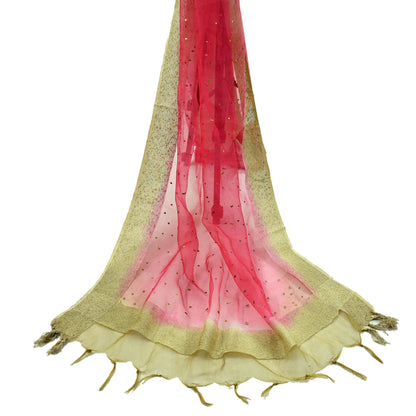 Indian Vintage Dupatta Red Long Stole Organza Woven Hand Painted Scarves Veil Zari Soft Floral Design