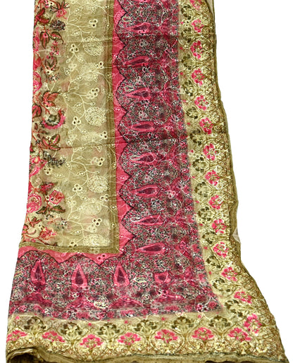 Indian Vintage Dupatta Beige & Pink Pure Georgette silk Long Stole Embroidered Scarves Stole Veil Wrap Sequins Zari