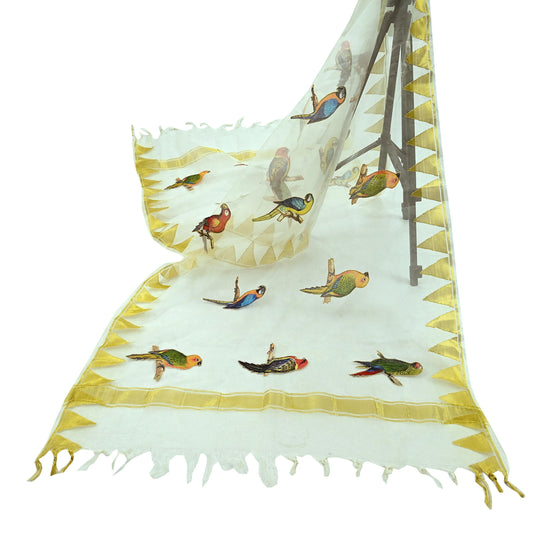Indian Vintage Dupatta White Long Stole Organza Embroidered Scarves Veil Soft Design Fringes Scarves Scarf Parrot