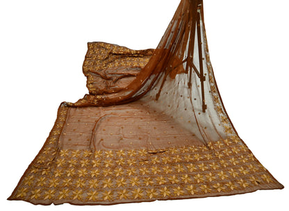 Indian Vintage Brown Dupatta Long Stole Pure Chiffon Silk Hand Embroidered Bagh Phulkari Stole Scarves Golden lace