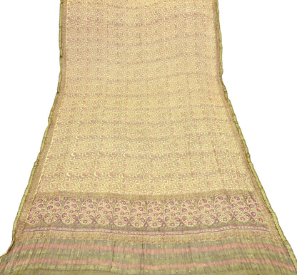 Indian Vintage Dupatta Beige Long Stole printed stole Pure Georgette Silk Scarves Veil Wrap Soft