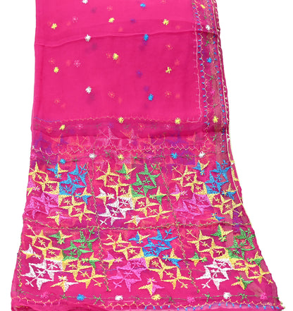 Indian Vintage Pink Dupatta Long Stole Pure Chiffon Silk Hand Embroidered Bagh Phulkari Stole Scarves Golden Lace