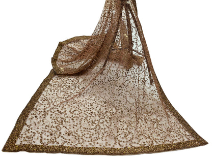Indian Vintage Heavy Brown Dupatta Net Mesh Long Stole Hand Embroidered Scarf Zardozi Zari Sequins Stole Bridal Veil