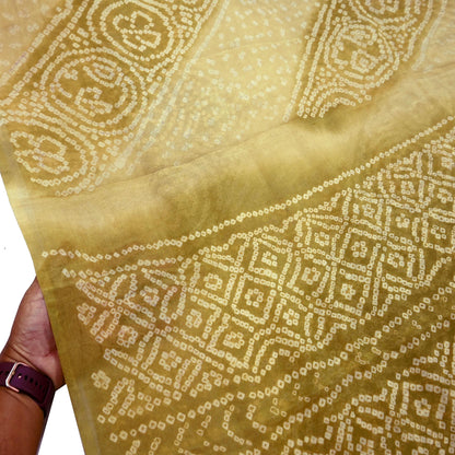 Indian Vintage Sari Beige & Green Pure Silk Bandhani Printed Sarees Fabric 5yd Floral Sewing Traditional Culture Sari Ethnic Fabric