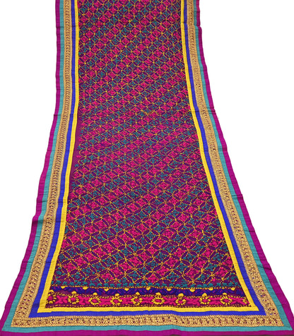 Indian Vintage Dupatta Purple Long Stole Blend Georgette Hand Embroidered Phulkari Stole Scarves Party wear