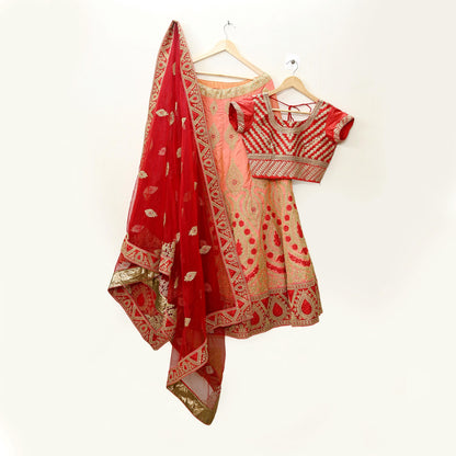 Indian Vintage Red & Peach Net/Mesh Silk Hand Embroidered Lehenga 3pcs Set Bridal Party Wear With Blouse/Dupatta Bollywood Lehenga Zardozi