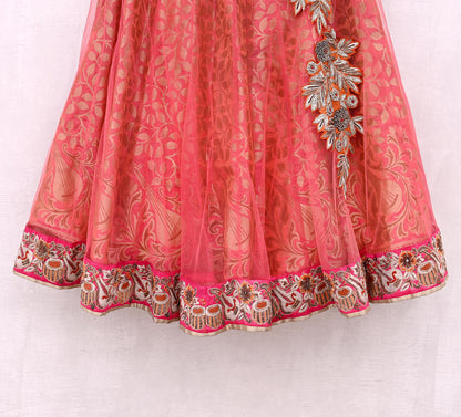 Indian Heavy Party wear Peach Net Hand Embroidered Lehenga/Skirt Designer By Anamika Khanna Bridal Wear Zardozi/ Dabka Bollywood skirt