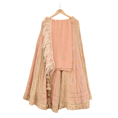 Indian Pre-owned Heavy Hand Embroidered Chikankari/Mukesh Lehenga/Dupatta/Choli 3pcs Set By Designer Abu Jani Pure Georgette Silk