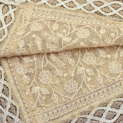 Indian Vintage Heavy Beige Dupatta Organza Long Stole Hand Embroidered Scarves Zari Floral