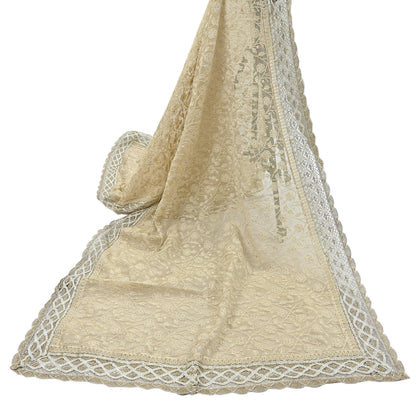 Indian Vintage Heavy Beige Dupatta Organza Long Stole Hand Embroidered Scarves Zari Floral