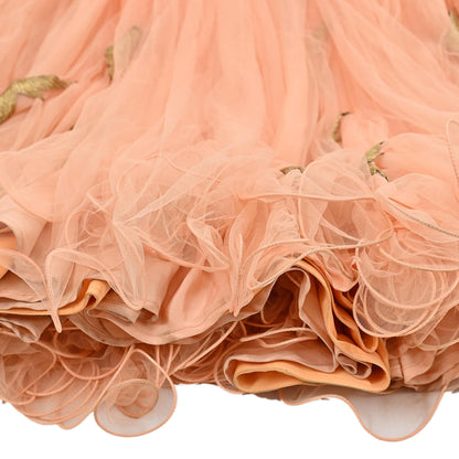 Indian Vintage Peach Net Hand Embroidered Skirt Party Wear Bollywood Lehenga Zari Birds design