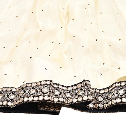 Indian Ivory Net Hand Embroidered  Mukesh/ Chikankari Lehenga/Skirt Designer By Abu Jani  bollywood party wear