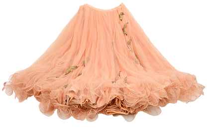 Indian Vintage Peach Net Hand Embroidered Skirt Party Wear Bollywood Lehenga Zari Birds design