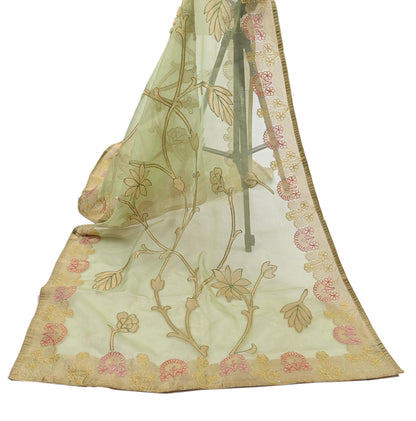 Indian Vintage Pista Green Dupatta Pure Organza Silk Long Stole Embroidered Scarves Veil Soft Floral Design Wrap Boho Party wear