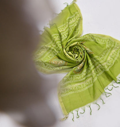 Indian Vintage Dupatta Green Dupatta Long Stole Block Print Pure Chanderi Silk Scarves Veil Golden Zari
