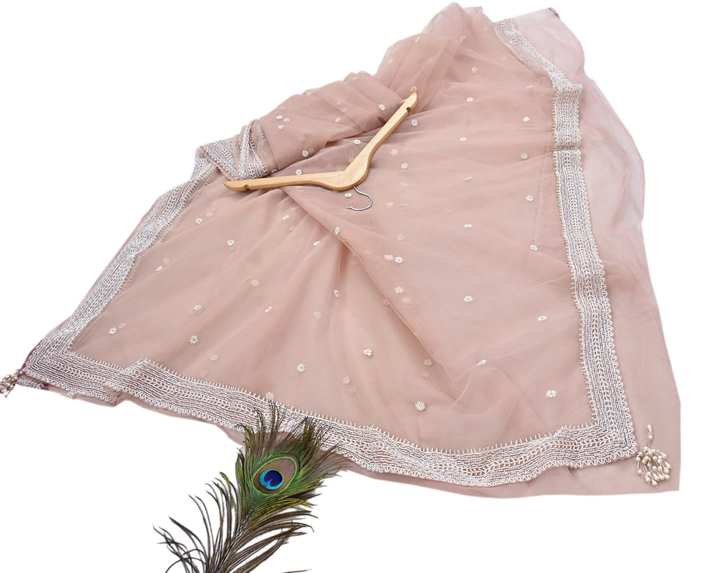 Rare Vintage Pink Net Saree Hand Embroidered Designer Anamika Khanna Sari 6 Yard Bollywood Party Wear