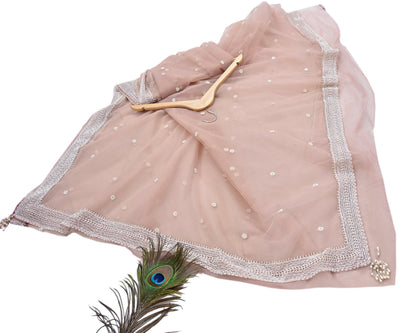 Rare Vintage Pink Net Saree Hand Embroidered Designer Anamika Khanna Sari 6 Yard Bollywood Party Wear