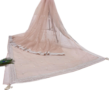 Rare Vintage Pink Net Saree Hand Embroidered Designer Anamika Khanna Sari 6 Yard Bollywood Party Wear