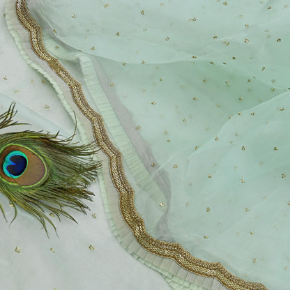 Rare Vintage Green Pure Organza Silk Saree Zardozi Hand Embroidered Designer Abu Jani Sari 6 Yard Bollywood Party Wear