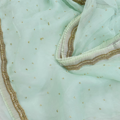 Rare Vintage Green Pure Organza Silk Saree Zardozi Hand Embroidered Designer Abu Jani Sari 6 Yard Bollywood Party Wear