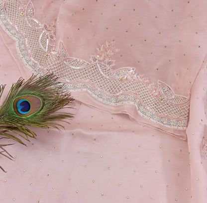 Rare Vintage Pink Pure Organza Silk Saree Zardozi Hand Embroidered Designer Sari 6 Yard Bollywood Party Wear