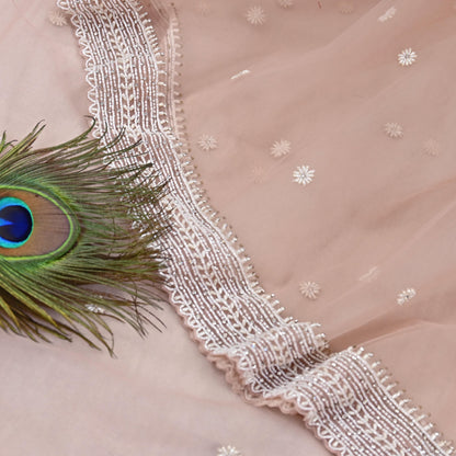 Rare Vintage Pink Net Saree Hand Embroidered Designer Anamika Khanna Sari 6 Yard Bollywood Party Wear