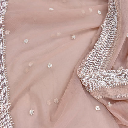 Rare Vintage Pink Net Saree Hand Embroidered Designer Anamika Khanna Sari 6 Yard Bollywood Party Wear