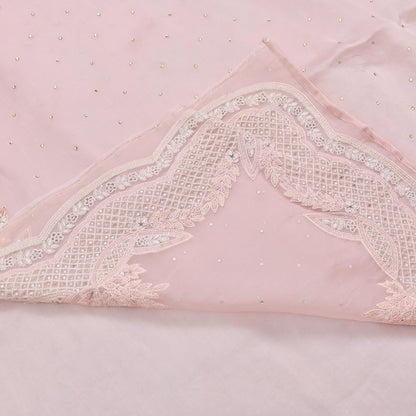 Rare Vintage Pink Pure Organza Silk Saree Zardozi Hand Embroidered Designer Sari 6 Yard Bollywood Party Wear