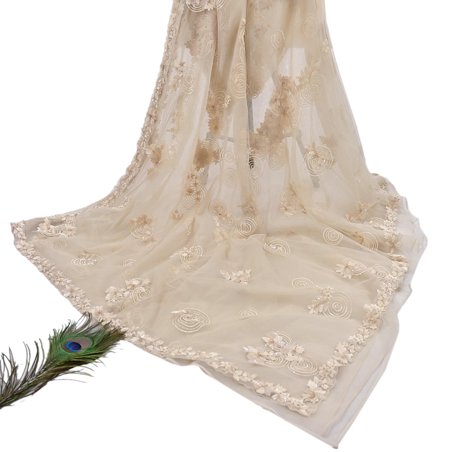 Rare Ivory Net Saree Hand Embroidered Designer Anamika Khanna Sari 6 Yard Bollywood Party Wear
