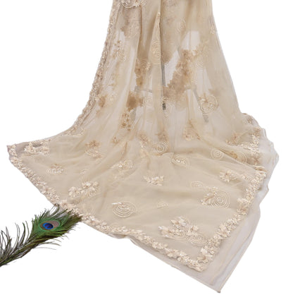 Rare Ivory Net Saree Hand Embroidered Designer Anamika Khanna Sari 6 Yard Bollywood Party Wear