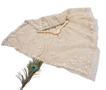 Rare Ivory Net Saree Hand Embroidered Designer Anamika Khanna Sari 6 Yard Bollywood Party Wear