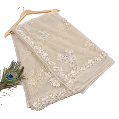 Rare Ivory Net Saree Hand Embroidered Designer Anamika Khanna Sari 6 Yard Bollywood Party Wear